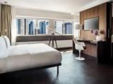 1 Bedroom Single Suite