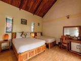 Deluxe Triple room with balcony and with garden view