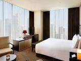 Deluxe Double Suite with park view