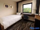 Standard Single room with mountain view