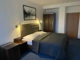 1 Bedroom Superior Double room with park view