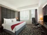 Business Suite