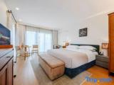 Deluxe Double room with mountain view
