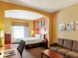 1 Bedroom Suite