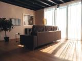 Executive Single Suite