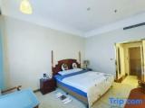 Business Double room with garden view