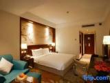 Standard Double room with city view