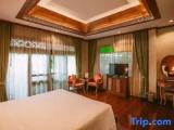 Deluxe Double room with garden view