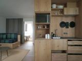 Penthouse Apartment