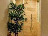 Standard Double room with street view
