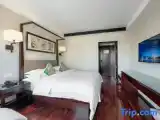 Deluxe Triple Family room