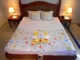 Standard Double room with garden view