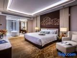 Business Double Suite