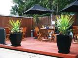 1 Bedroom Single Apartment
