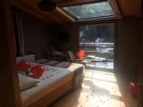 Standard Double room with mountain view