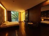 Business Suite