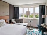 Superior room with park view