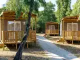 Family Chalet