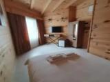 Standard Double room with mountain view