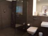 1 Bedroom Deluxe Double room