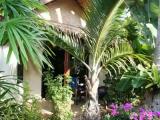 Superior Bungalow with garden view