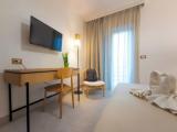 Standard Double room with balcony and with pool view