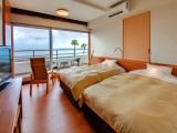 Standard Double room with ocean view