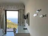 Standard Double room with balcony and with sea view
