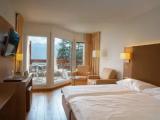 Superior Double room with balcony and with mountain view
