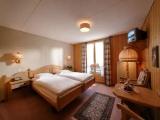 Standard Single room with balcony and with mountain view