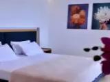 Standard Double room with balcony and with garden view