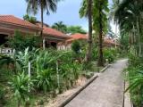 Standard Double room with garden view