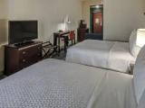 Single Suite