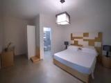 Standard Double room with garden view