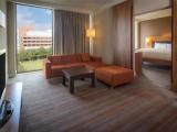 Executive Suite with Park View