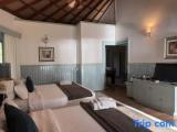 Triple Suite