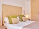1 Bedroom Single Suite