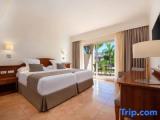 Standard Double room with garden view