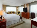 1 Bedroom Deluxe Suite with city view