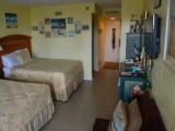 Double Studio with balcony and with ocean view