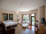 Deluxe Chalet with balcony