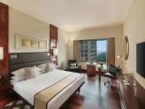 Hyatt Double room with pool view