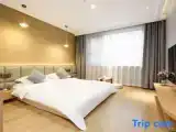 Standard Twin room with garden view
