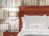 Royal Single Junior Suite