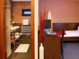 Standard Single room with balcony and with mountain view