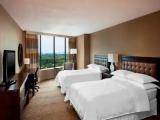 1 Bedroom Quadruple Junior Suite