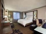 Standard Double Club room with city view