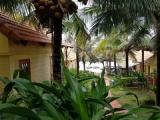 Quadruple Family Bungalow with garden view