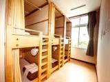 Bed in Dorm