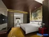Double Family Suite